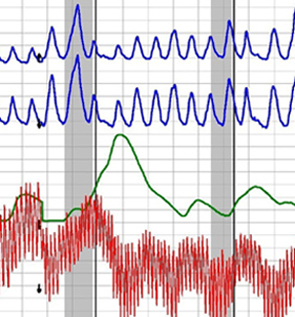 New York City polygraph test